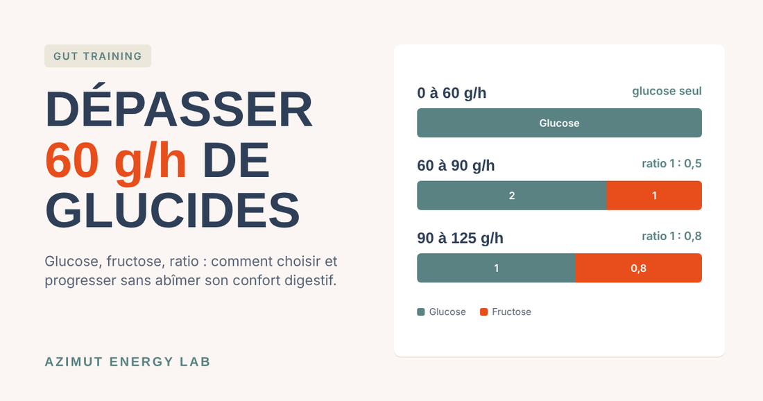 Ratio glucose/fructose et gut training : comment dépasser 60 g/h de glucides
